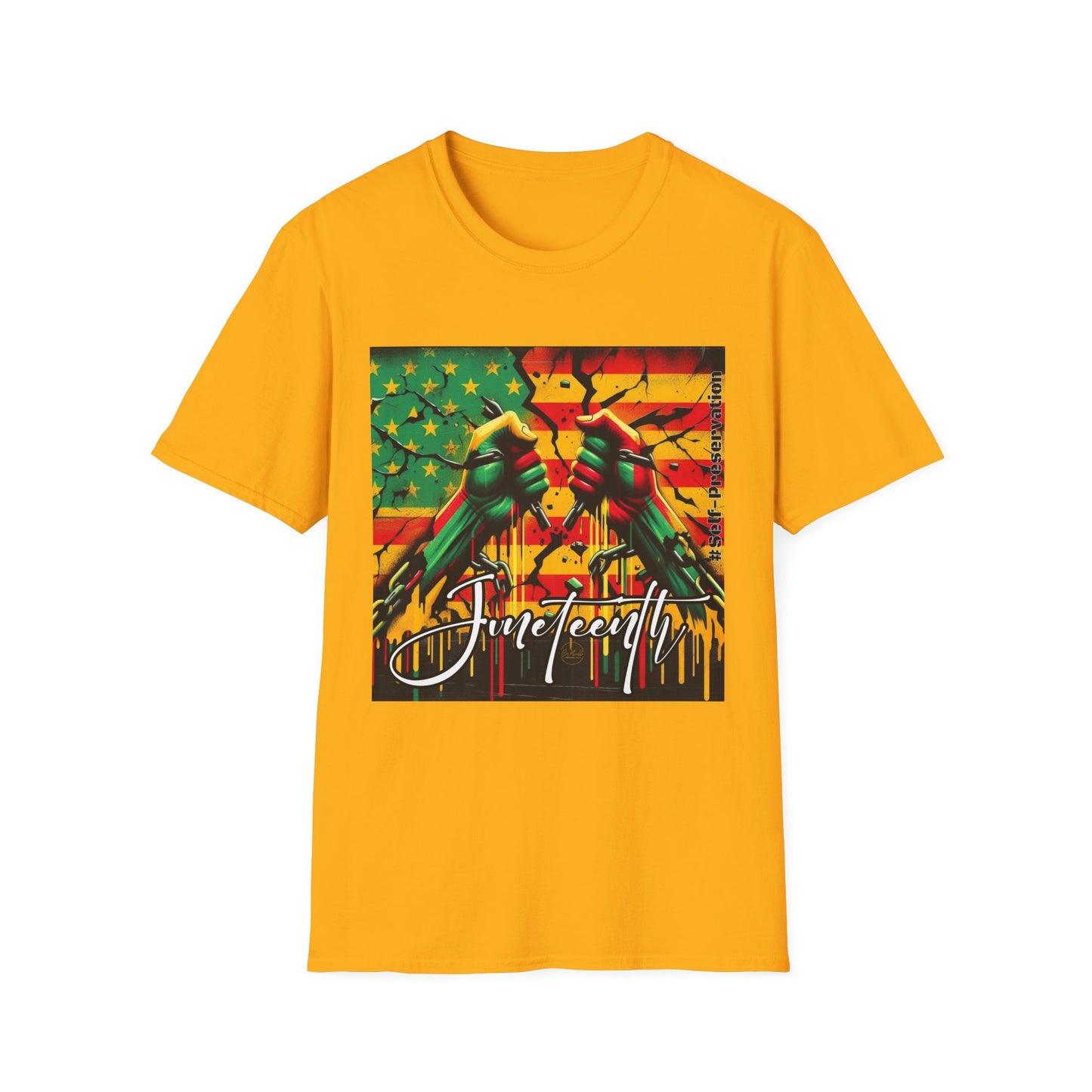 Juneteenth Celebration Unisex Softstyle T-Shirt, Freedom Tee, Black History Month Shirt, Juneteenth Gift, Retro Graphic Tee