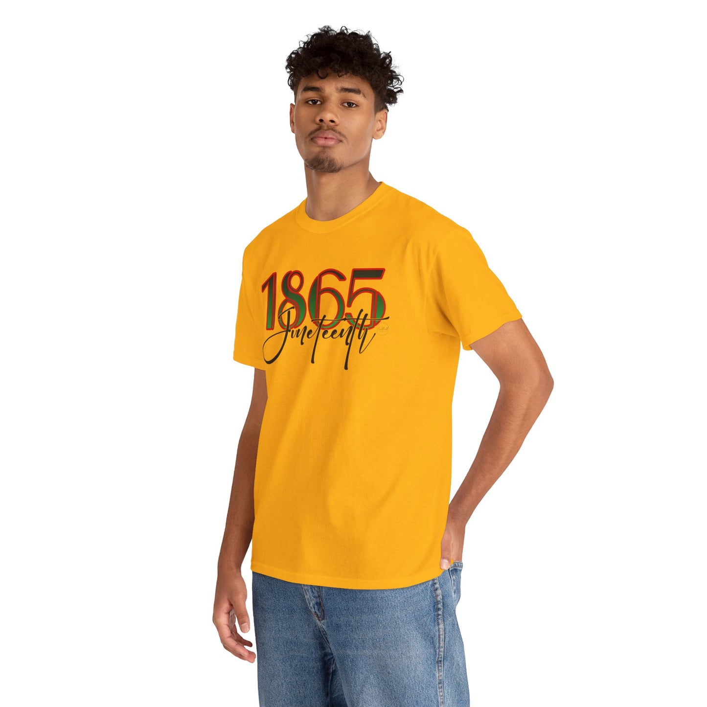 Heritage Unisex Cotton Tee - Celebrate 1865, Black History Shirt, Inclusive Fashion, Unisex Tee, Cultural Pride Apparel
